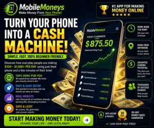 MOBILE MONEY SYSTEM