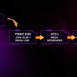 How to Build a Profitable Online Business Using OLSP System