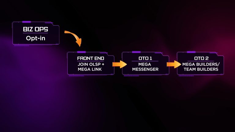 How to Build a Profitable Online Business Using OLSP System