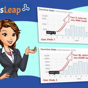 What are the paid features of LeadsLeap?