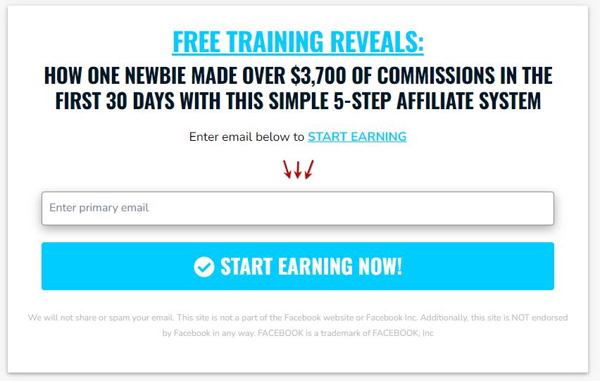 OLSP System: A Beginner’s Guide to Generating Consistent Online Income