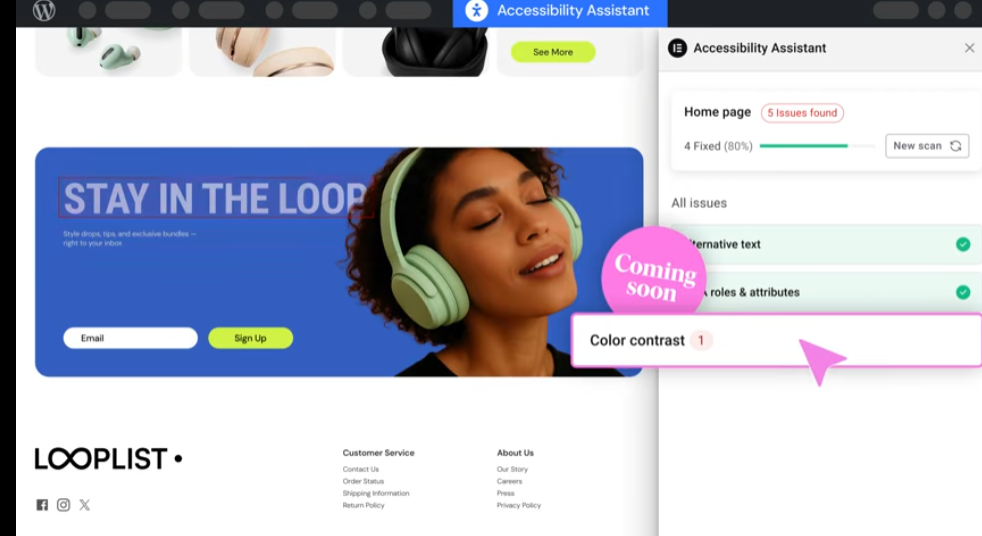 accessibility assistance